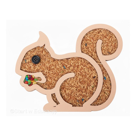 Wiewiórka - Wysypywanka sensoryczna