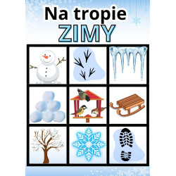 Na tropie zimy