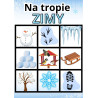 Na tropie zimy