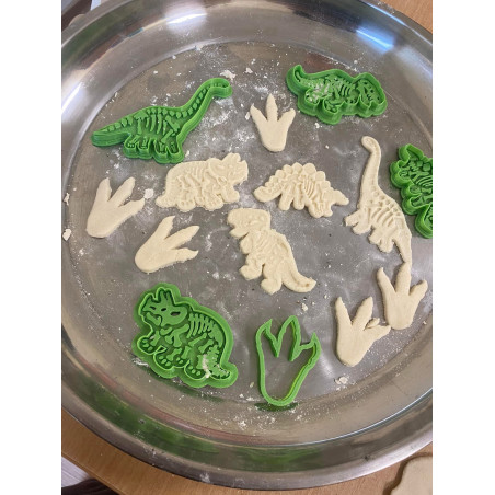 Foremki dino - szkielet