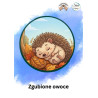 Zagubione owoce- AAC -  pakiet wspierający